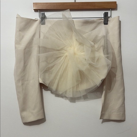 Zara Cropped Floral Tulle Cream Top NWT - Picture 9 of 12